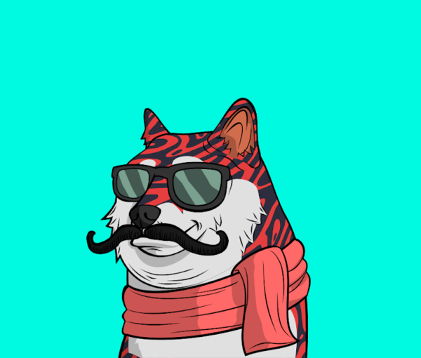 The mustache dog