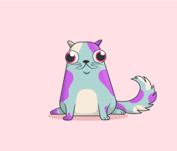 گربه خال‌خالی